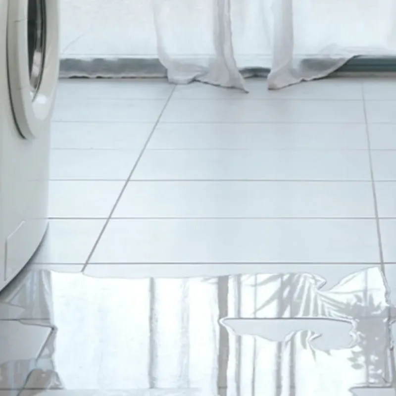Appliance Leak Cleanup in Mount Ida, AR