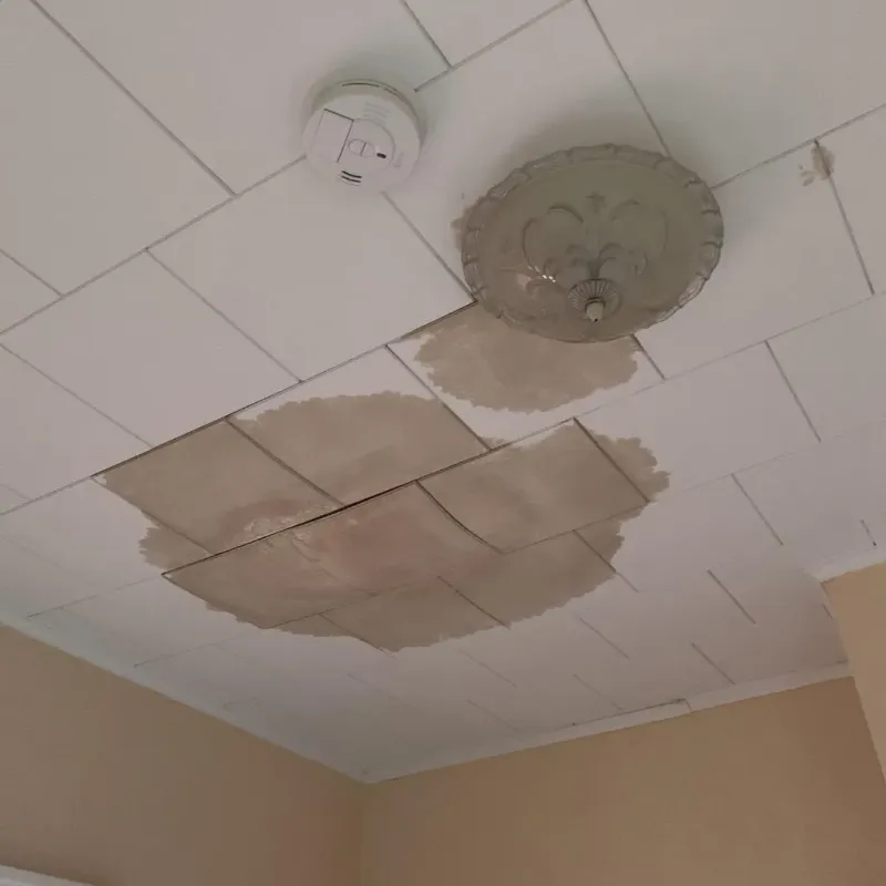 Ceiling Water Damage Repair in Mount Ida, AR