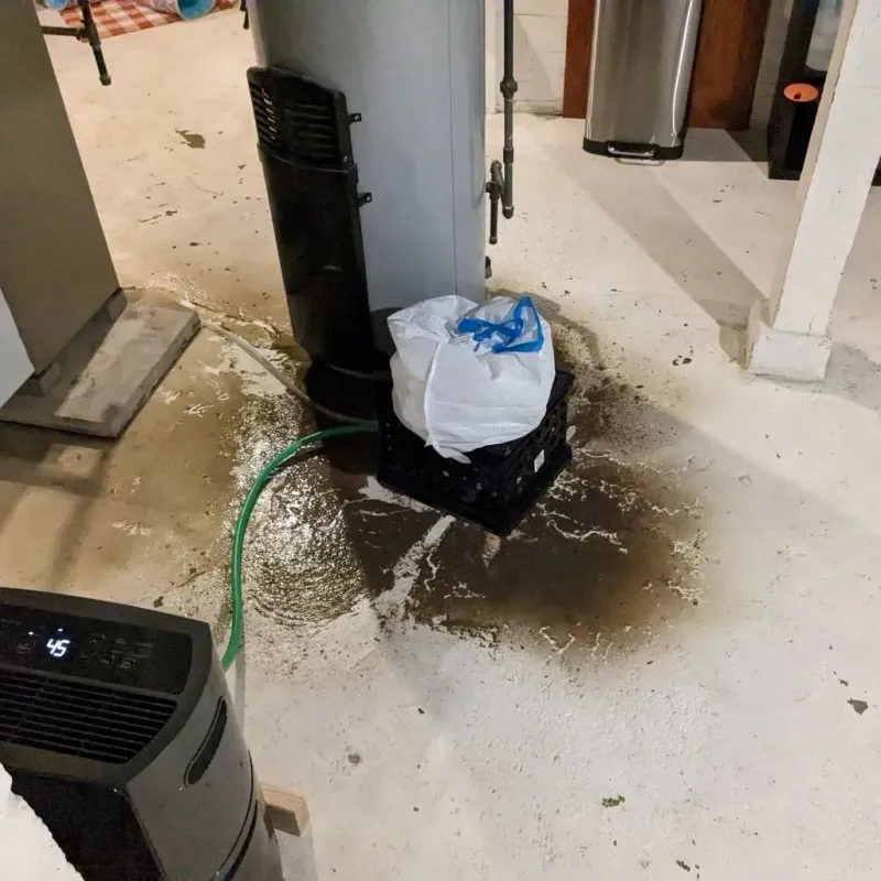 Sewage Backup Cleanup Service in Mount Ida, AR
